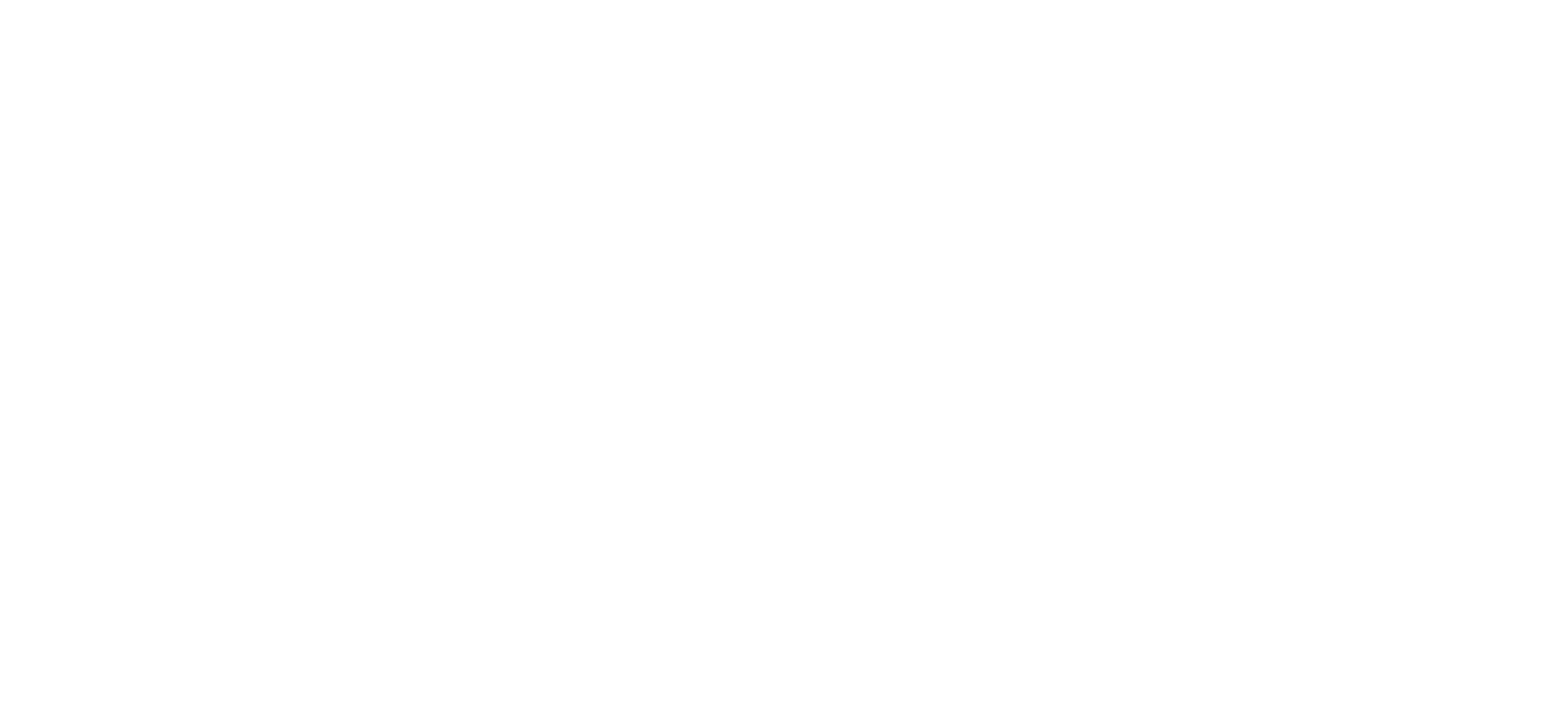 Shaadi Souk Logo